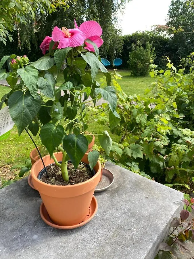 B&B La Hacienda Valkenburg aan de Geul アパート