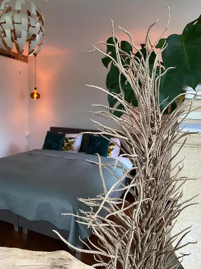 B&B La Hacienda Valkenburg aan de Geul 0*,  オランダ